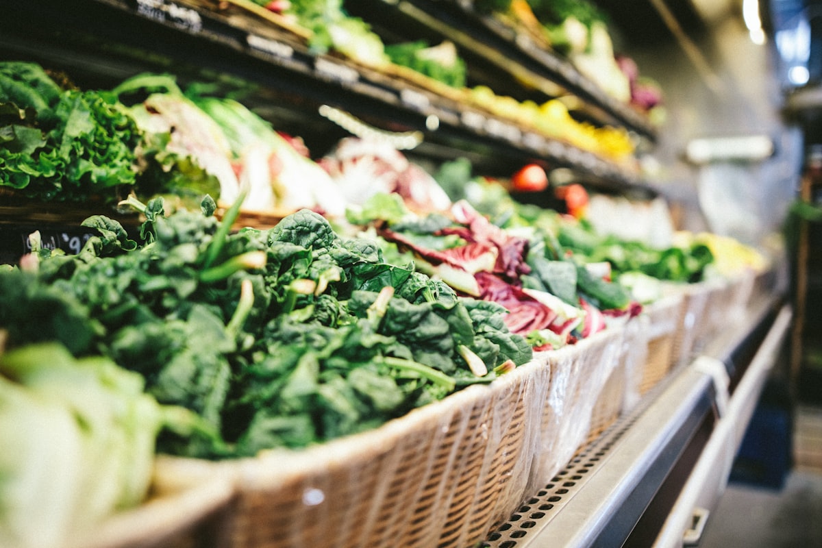 Professional nutritionist consultation